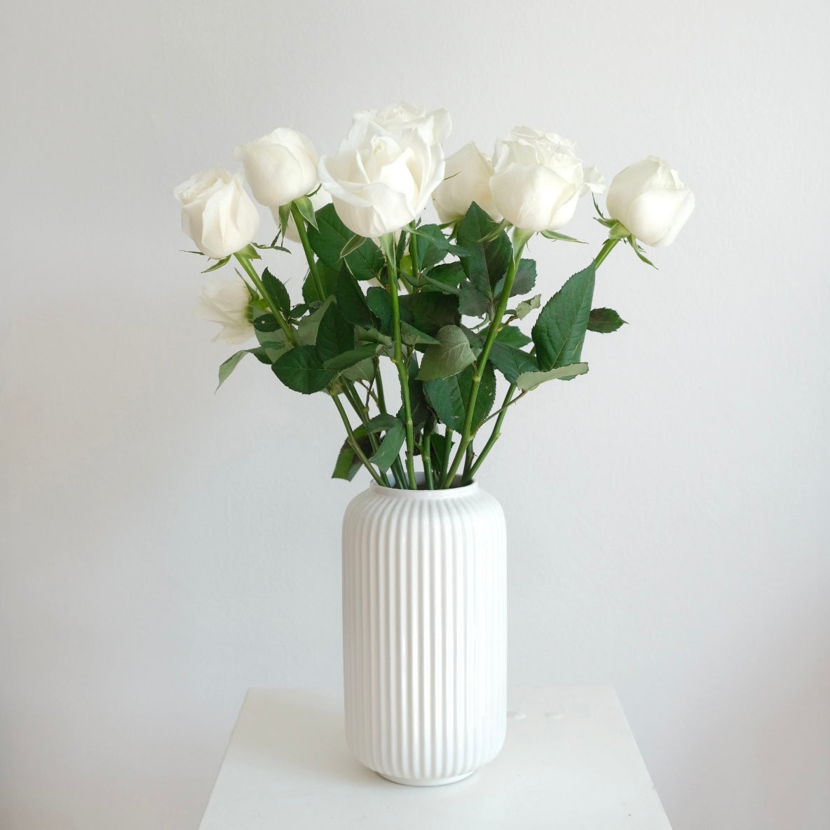 Big White Rose