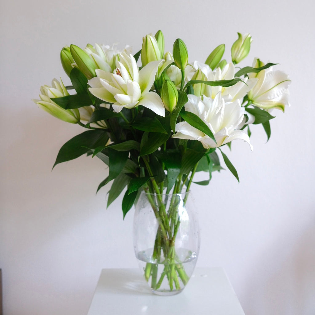 Big White Lily