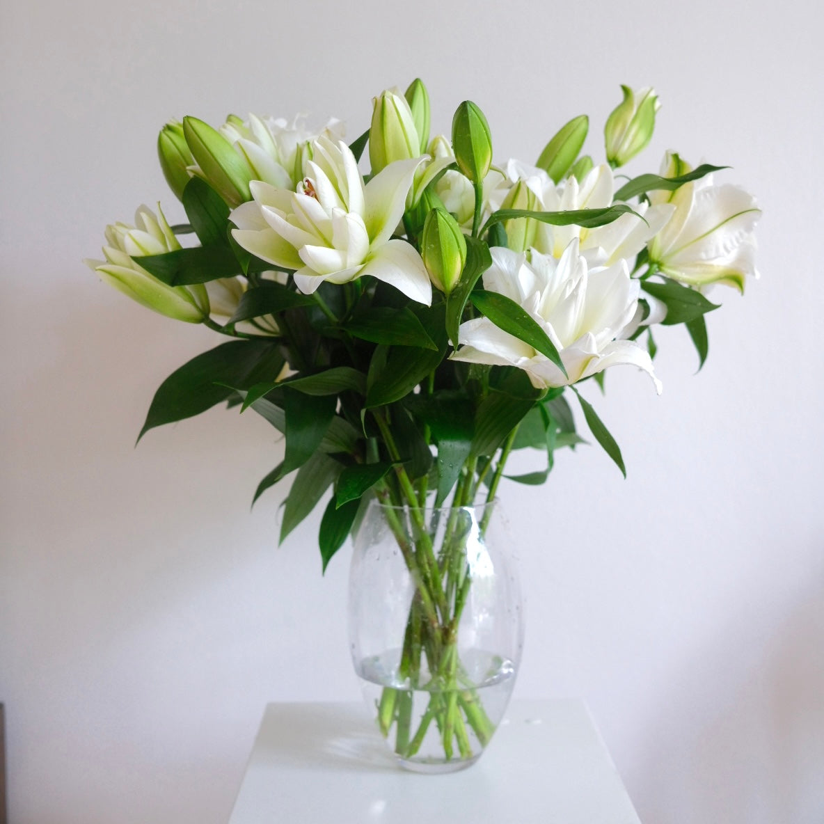 Big White Lily