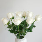 Big White Rose