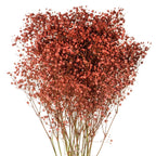 Dyed Gypsophila